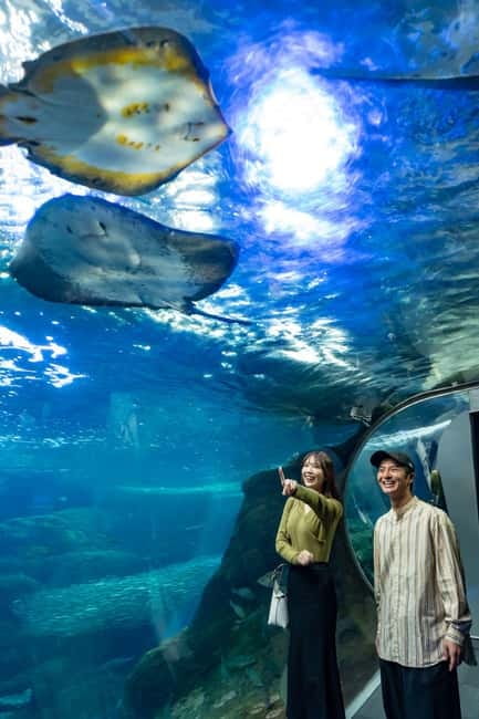 Enoshima Aquarium: Admission Ticket - Key things that make this ticket worth your time