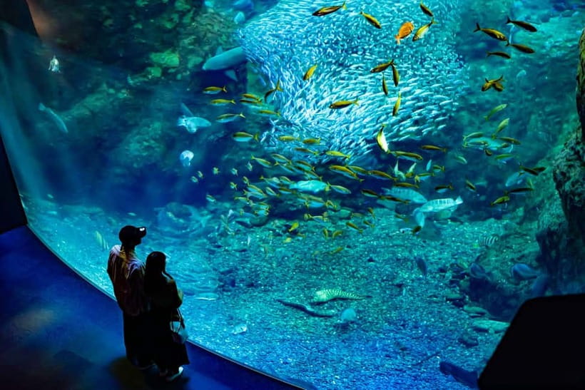 Enoshima Aquarium: Admission Ticket - Enoshima Aquarium in one ticket: what you actually get