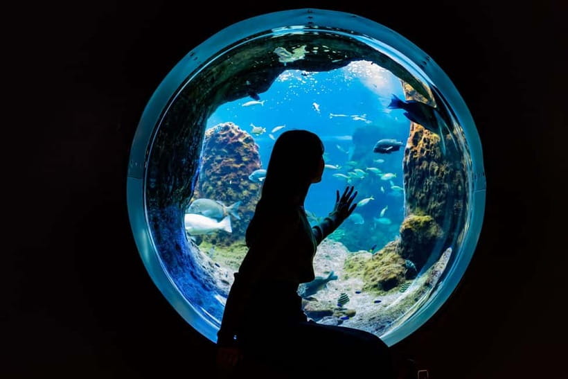 Enoshima Aquarium: Admission Ticket - Opening hours that change by season (and why you should care)