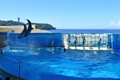Enoshima Aquarium: Admission Ticket - Getting there: walk times from Enoshima-area stations