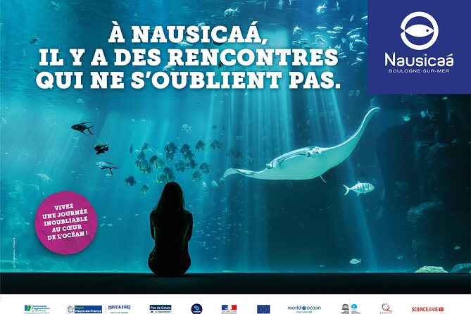 Entrance Ticket Nausicaa, the biggest aquarium in Europe - Your 4–6 Hour Plan: How to See the Best Parts Without Rushing