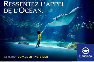 Entrance Ticket Nausicaa, the biggest aquarium in Europe - Entry That Saves Time: Skip-the-Line, But Keep Your Eyes Open