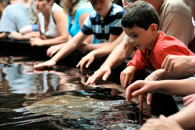 Entrance Ticket Nausicaa, the biggest aquarium in Europe - Practical Tips for a Smoother Day at Nausicaa