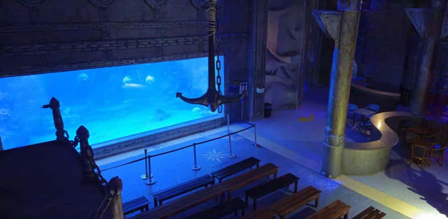 Entry Ticket: Grand Aquarium Hurgada - Key highlights you’ll care about
