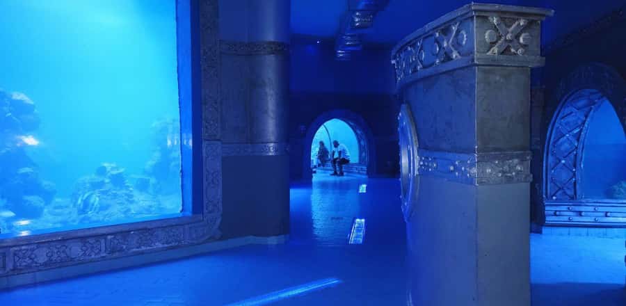 Entry Ticket: Grand Aquarium Hurgada - The route inside: 22 aquariums and the 24m tunnel