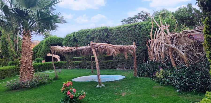 Entry Ticket: Grand Aquarium Hurgada - Touch pool and animal feeding: why this is more fun than it sounds