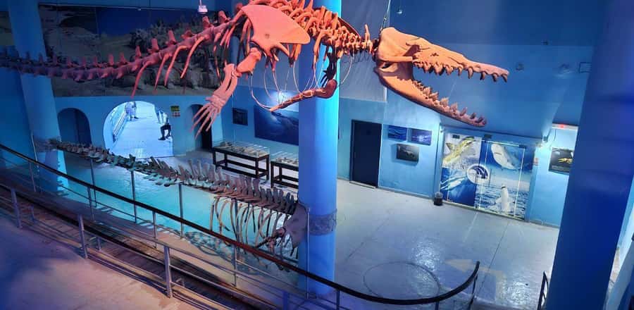 Entry Ticket: Grand Aquarium Hurgada - Rainforest-style exhibit: birds and reptiles with jungle sounds