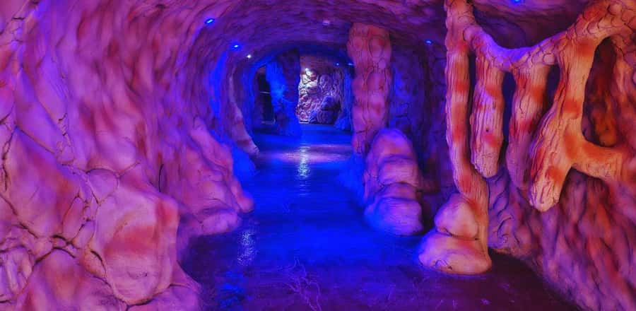 Entry Ticket: Grand Aquarium Hurgada - Clean glass, animal behavior, and what to watch for
