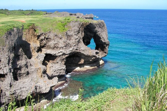 Explore Okinawa (Naha, Churaumi Aquarium) using Private Hiace Van - Key Things to Know Before You Go