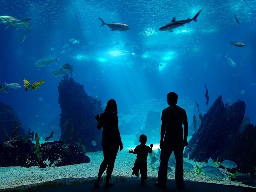 From city of Side: Antalya Aquarium Full-Day Trip - Key things to know before you go