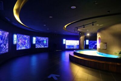 From city of Side: Antalya Aquarium Full-Day Trip - Antalya Aquarium’s snow world (and why it matters in summer)