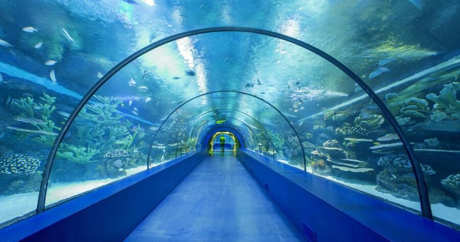 From city of Side: Antalya Aquarium Full-Day Trip - The guide experience: English, German, Russian, and Ibrahim’s kind explanations