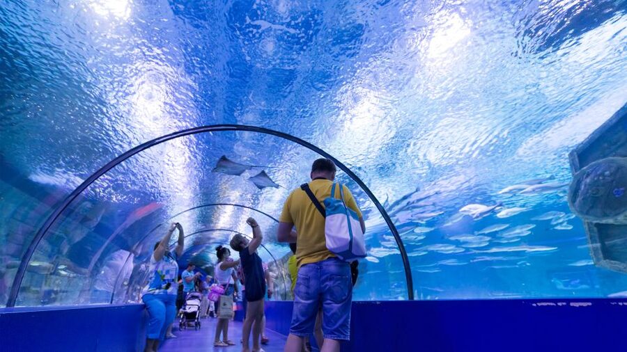 From city of Side: Antalya Aquarium Full-Day Trip - Transport comfort and timing: why the bus details can matter