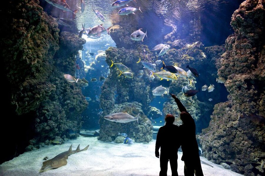 From city of Side: Antalya Aquarium Full-Day Trip - Should you book the Antalya Aquarium Full-Day Trip?