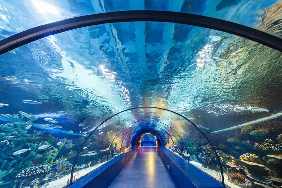 From City of Side: Antalya Aquarium Tour, Ticket & Transfer - Side to Antalya Aquarium: hotel pickup and the road time