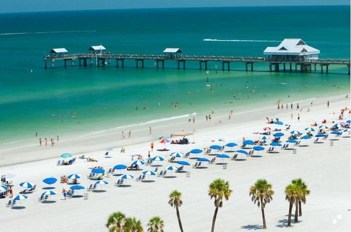 From Orlando: Clearwater Beach and Marine Aquarium Admission - Getting from Orlando to Clearwater: the day starts on the road
