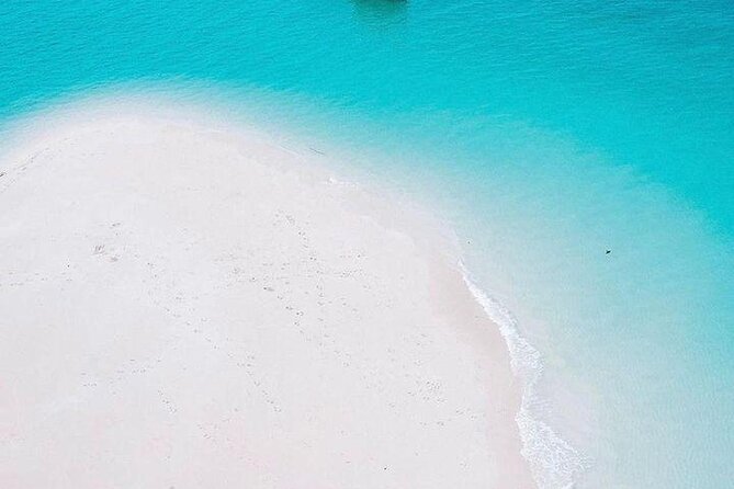 Full Day Private Mnemba Island + Turtles Aquarium & Kendwa Beach - Price and logistics: why $104 can be good value (or not)