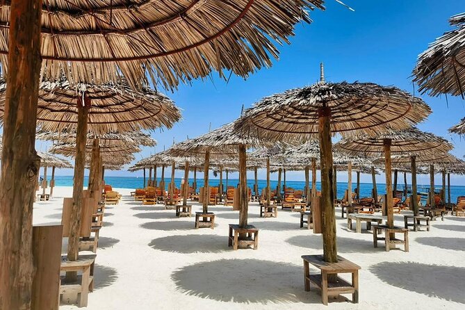 Full Day Private Mnemba Island + Turtles Aquarium & Kendwa Beach - Should you book this Mnemba Island + turtles + Kendwa Beach combo?