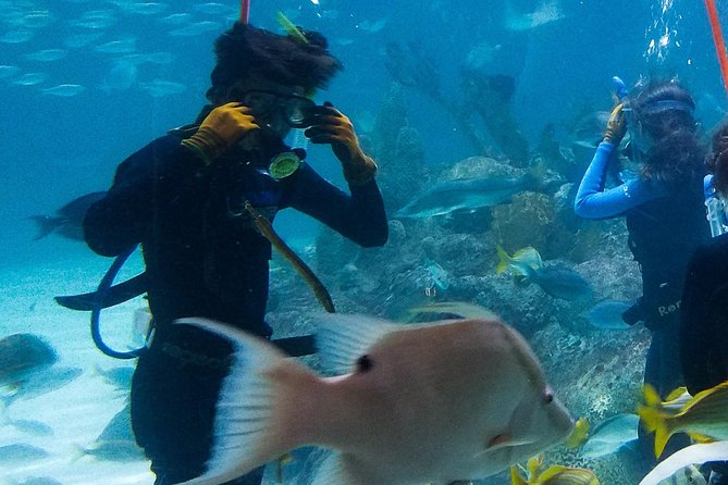 Full-Day Tour of Florida Keys Including Aquarium Encounters from Key West - Bahia Honda State Park Picnic and the Old Bridge Walk