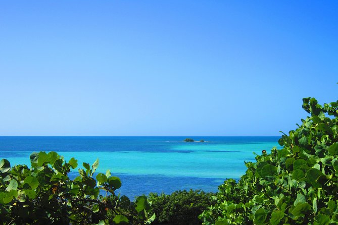 Full-Day Tour of Florida Keys Including Aquarium Encounters from Key West - Price and Value: What $169 Buys You