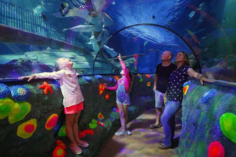 Gardaland SEA LIFE Aquarium: Open Date Entry Ticket - Key highlights at a glance