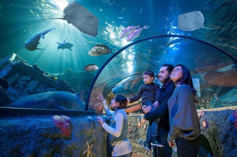 Gardaland SEA LIFE Aquarium: Open Date Entry Ticket - Getting there from Peschiera del Garda without turning it into a chore