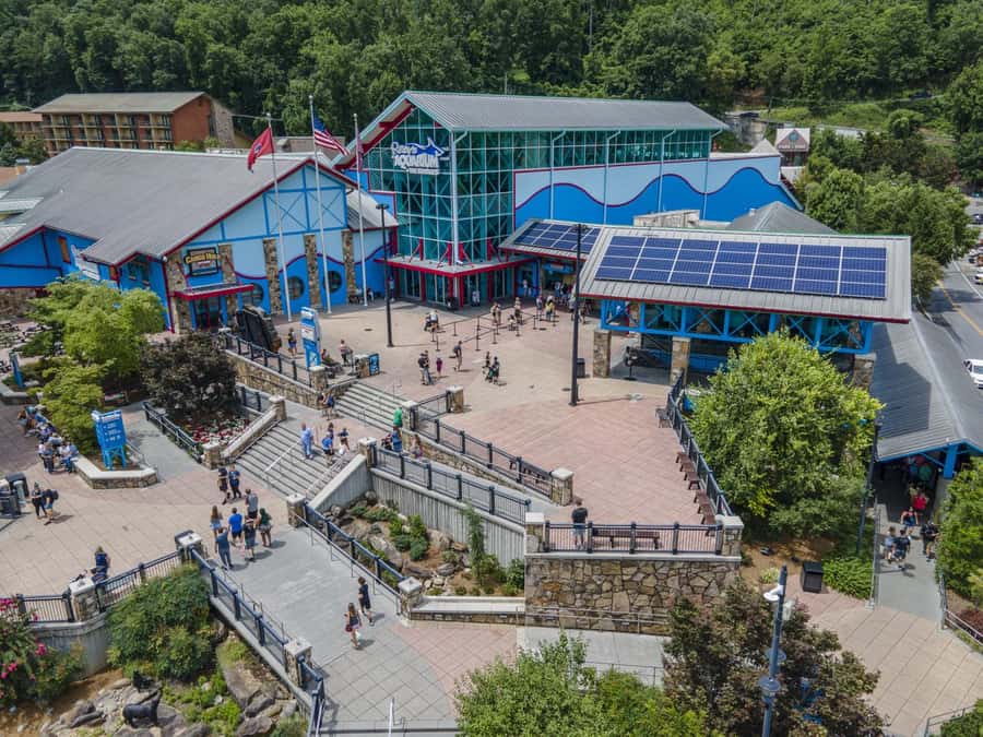 Gatlinburg: Ripley's Aquarium of the Smokies & Combo Ticket - Ripley’s Believe it or Not! Odditorium and Moving Theater