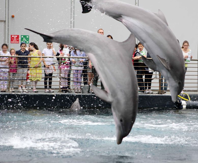 Genoa: Aquarium, Galata Museum and Submarine Entry Tickets - Price and value: $52 for three maritime admissions