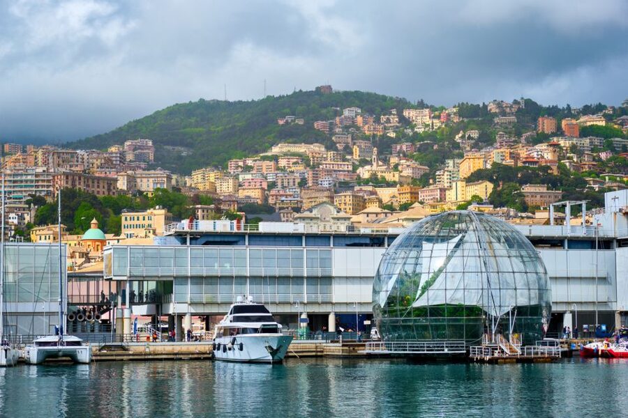 Genoa: Aquarium of Genoa with Lunch - Crowd control and best timing: getting fish-view results
