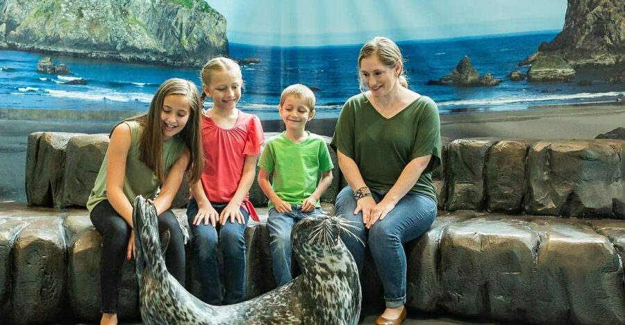 Georgia Aquarium: Sea Lion Encounter - Key Things I’d Bet You’ll Notice