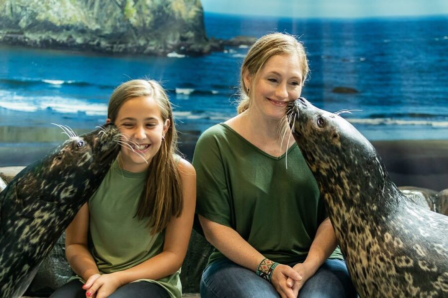Georgia Aquarium: Sea Lion Encounter - Up-Close With California Sea Lions: Why the Small Group Matters