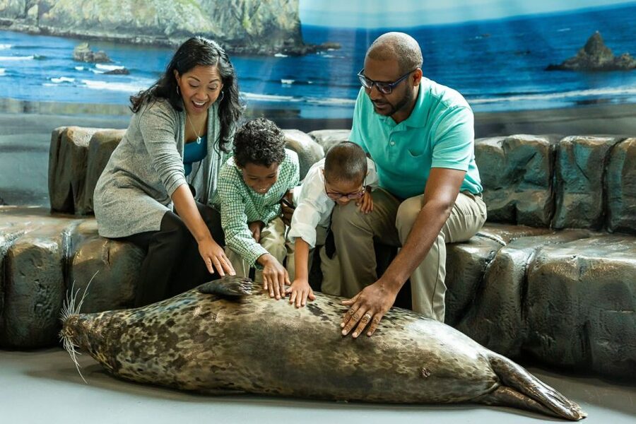 Georgia Aquarium: Sea Lion Encounter - Getting There in Atlanta: Stations, Walks, and Parking