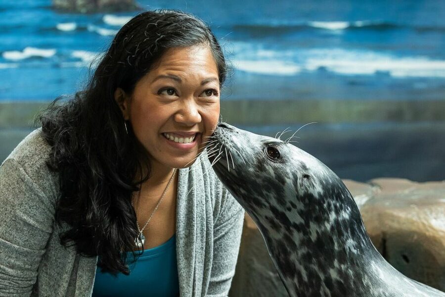 Georgia Aquarium: Sea Lion Encounter - Your 30 minutes: how the session typically flows
