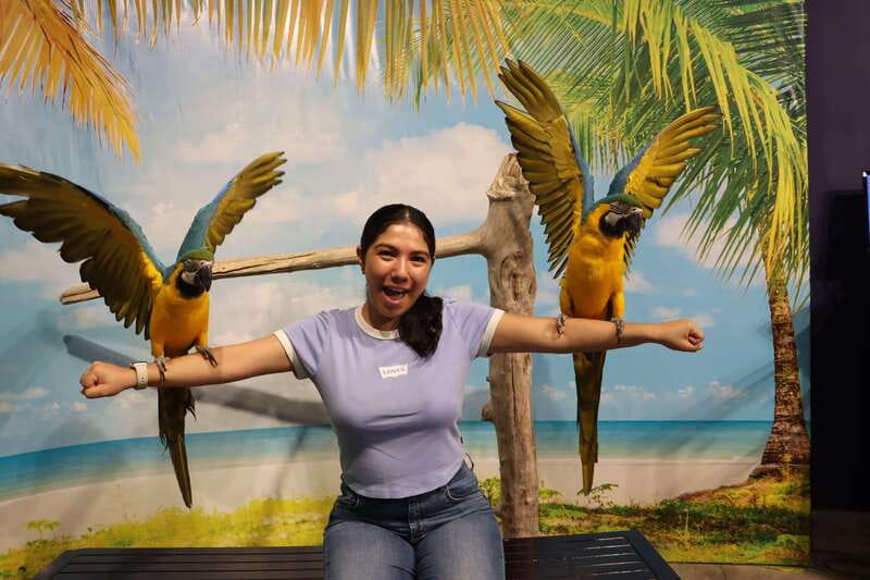 Guadalajara: ticket to Michin Aquarium - What you can do beyond the tanks: trampolines, obstacle circuits, laser tag, climbing, and console time
