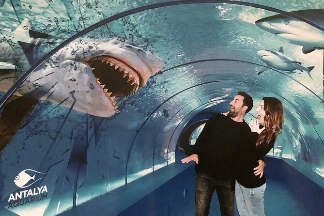Half Day Antalya Aquarium Tour And Wax Museum - Getting There: Afternoons, Air-Conditioning, and a Friendly Pickup