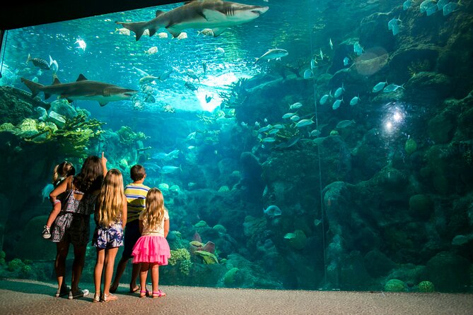 Half Day Antalya Aquarium Tour And Wax Museum - Stop-by-Stop Timing: 4 Hours That Doesn’t Feel Chaotic