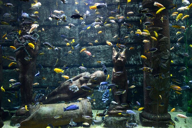 Half Day Antalya Aquarium Tour And Wax Museum - Price and Value: Is $70 Worth It?