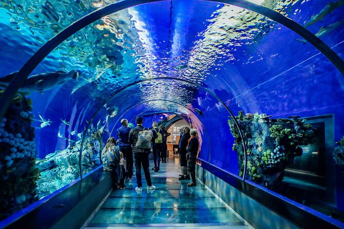 Half Day Antalya Aquarium Tour And Wax Museum - Who This Tour Fits Best (and Who Might Skip It)