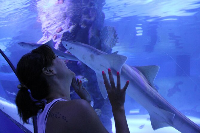 Half Day Antalya Aquarium Tour And Wax Museum - Logistics That Make a Real Difference: Mobile Tickets and Group Flow