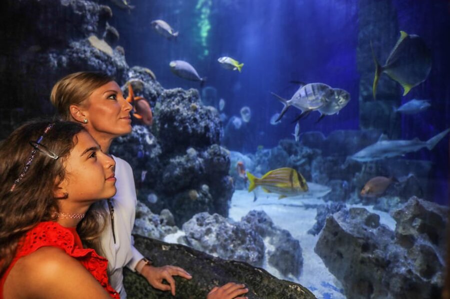 Hanover: SEA LIFE Entry Ticket - The Leine River to tropical seas route: what to expect at each habitat