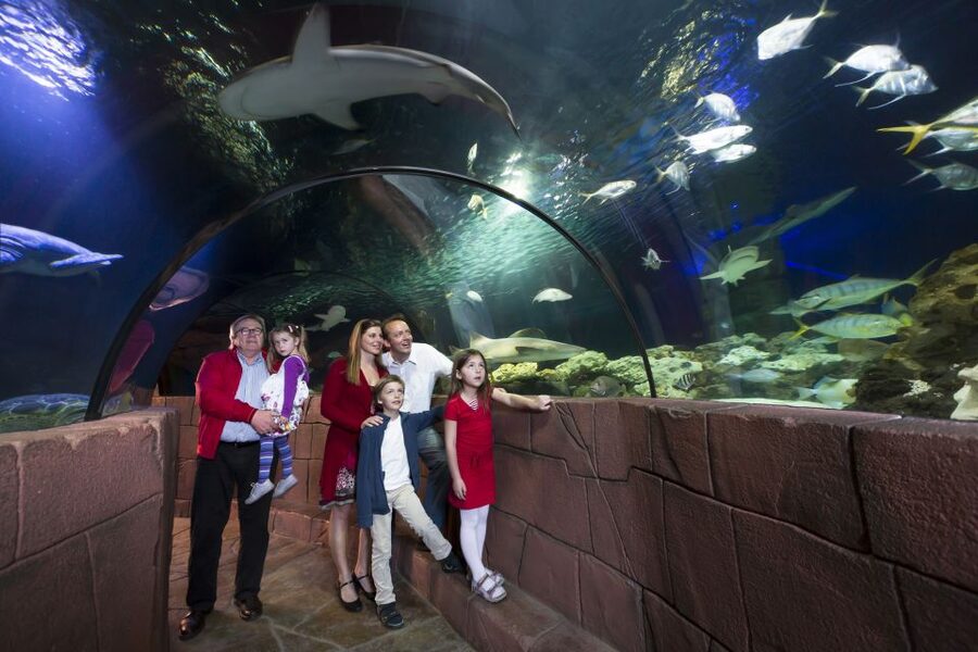 Hanover: SEA LIFE Entry Ticket - Daily feedings: how staff talks make the tanks worth staying for
