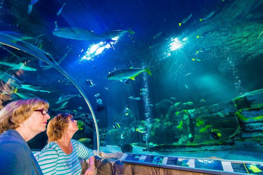 Helsinki: Sea Life Entrance Tickets - Key things to know before you go