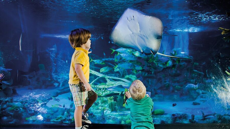 Helsinki: Sea Life Entrance Tickets - Where Sea Life Helsinki sits in your Helsinki day