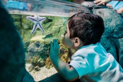Helsinki: Sea Life Entrance Tickets - Ticket value: why $27 can be a smart buy
