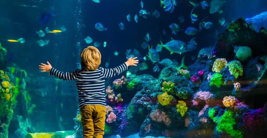 Helsinki: Sea Life Entrance Tickets - The conservation cove and climate change context
