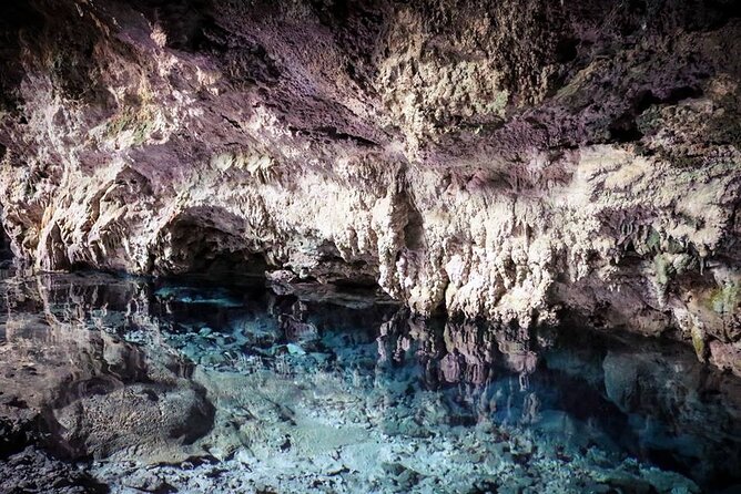 Horse Ride + Swimming with Turtles in Aquarium at Nungwi Beach - Who should book this (and who should skip it)