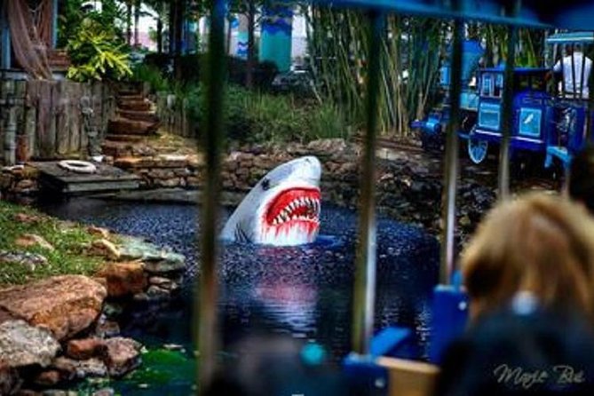 Houston City Tour and Downtown Aquarium All Rides Pass - Rockets and Astros pass-bys: sports you can place on the map