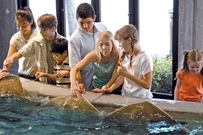 Houston City Tour and Downtown Aquarium All Rides Pass - Downtown Aquarium: do it your way with an all-rides, all-day pass