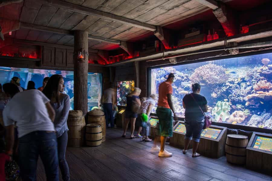 Houston: Downtown Aquarium All Day Pass - Stingray Reef + the 8-Area Aquarium Loop: What the All-Day Pass Really Feels Like
