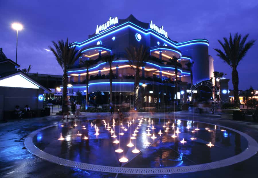 Houston: Downtown Aquarium All Day Pass - Unlimited Rides: How to Use the Pass Without Losing the Day